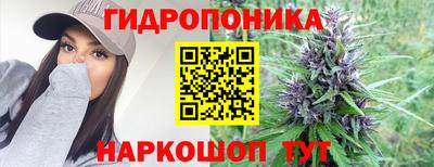молекула духа Новодвинск