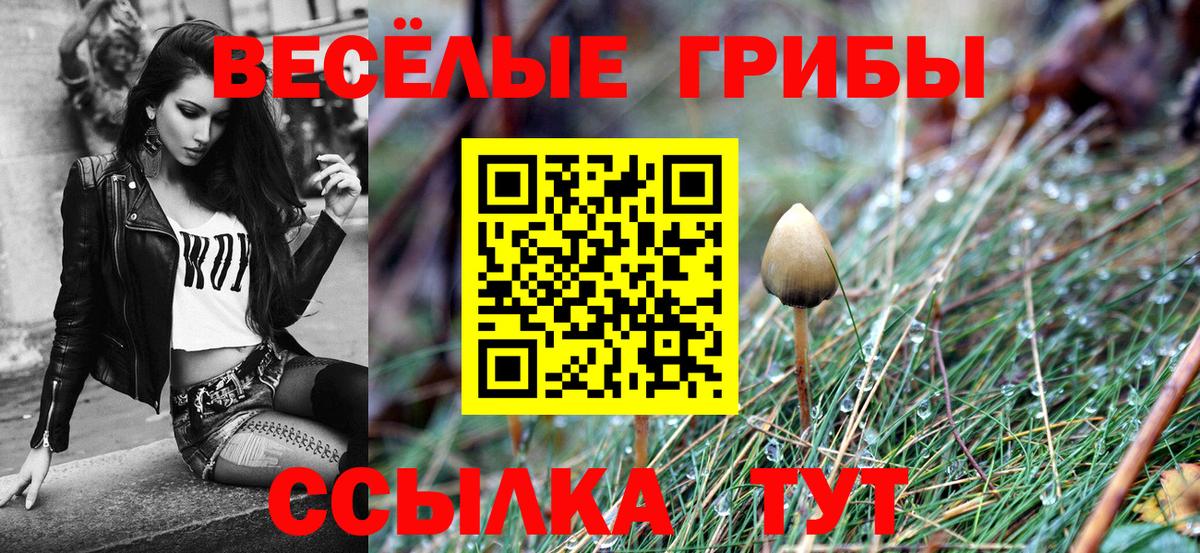 Галлюциногенные грибы GOLDEN TEACHER  купить   Ухта  Вход с VPN 